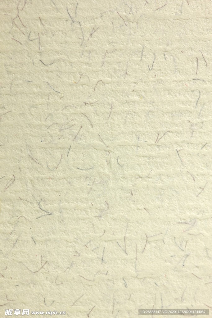 纸纹
