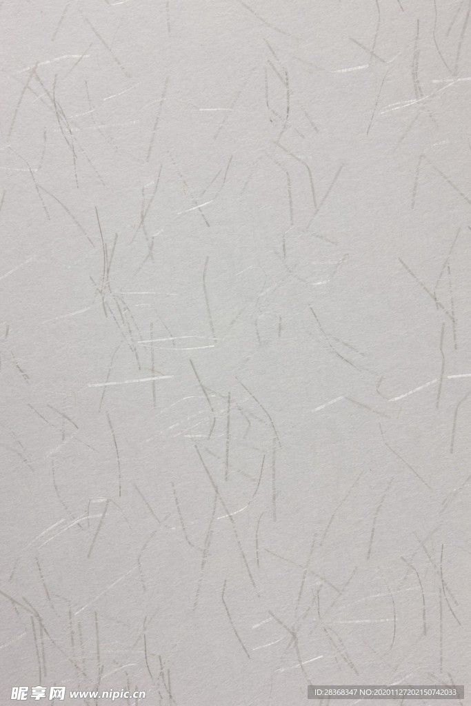 纸纹