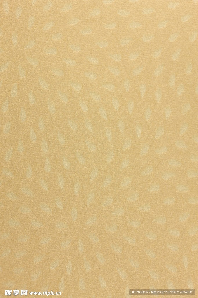 纸纹