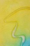 纸纹