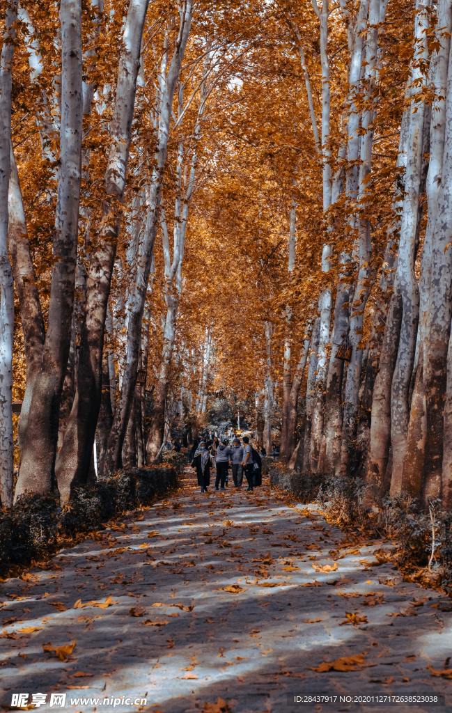 超清风景大图