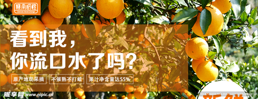 赣南脐橙banner