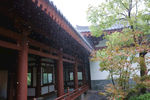 雨中园林
