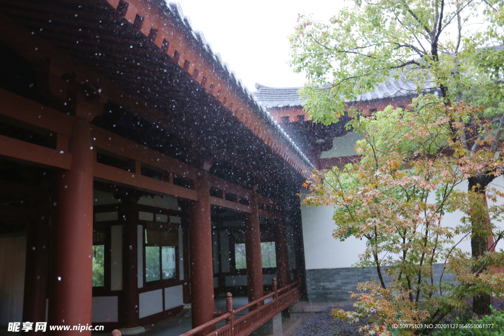 雨中园林