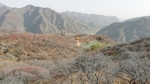 坡峰岭
