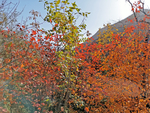 坡峰岭