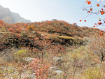 坡峰岭