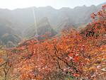 坡峰岭