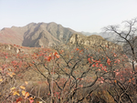 坡峰岭