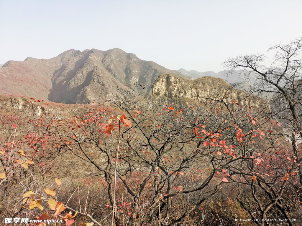 坡峰岭