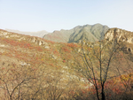 坡峰岭