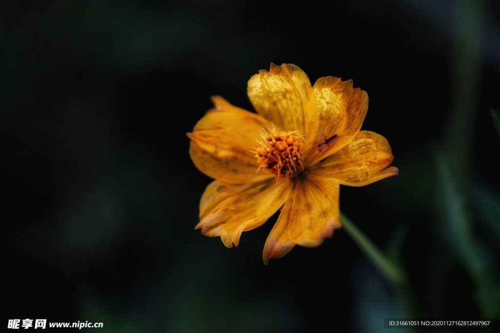 花