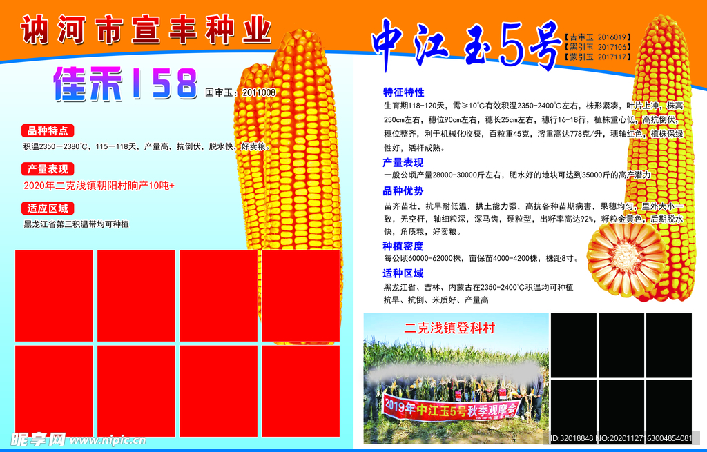 种子化肥 宣传单 玉米宣传单