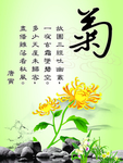装饰画