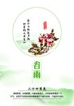 24节气谷雨