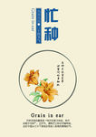 24节气芒种