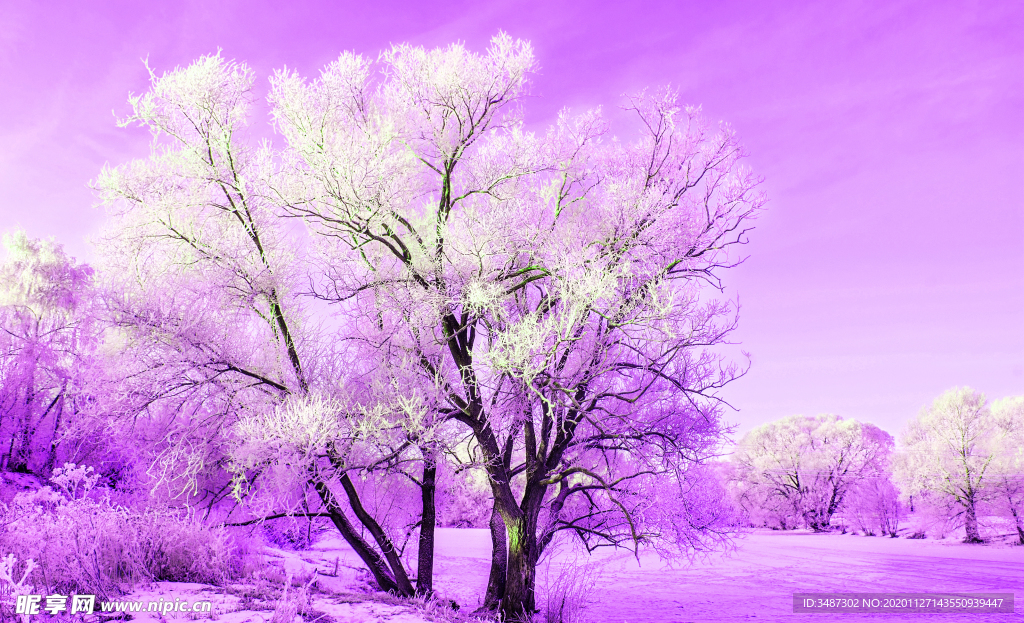梦幻雪景
