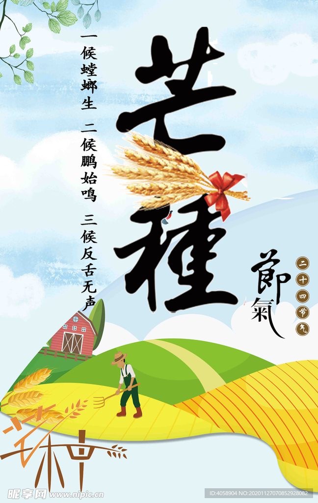 芒种