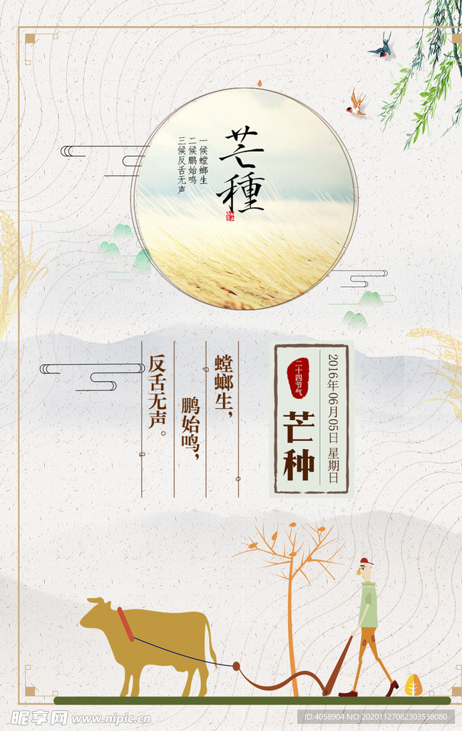 芒种