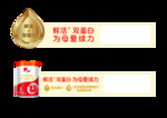 旗帜插卡牌