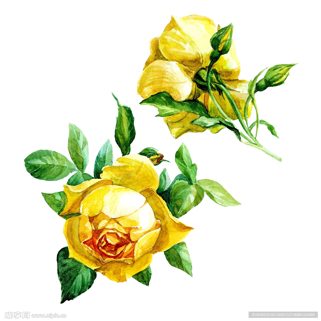玫瑰 玫瑰色 刺 - Pixabay上的免费照片 - Pixabay