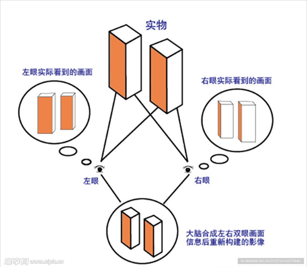 不同的视界