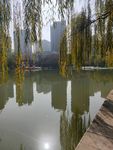 公园湖景