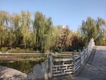 湖上石桥