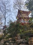 林间古亭