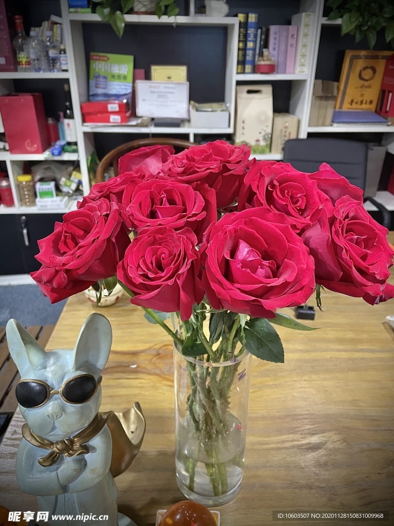 玫瑰花
