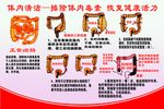 肠道清洁图