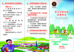 宅基地有机更新政策指南
