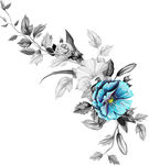 花卉 热带花
