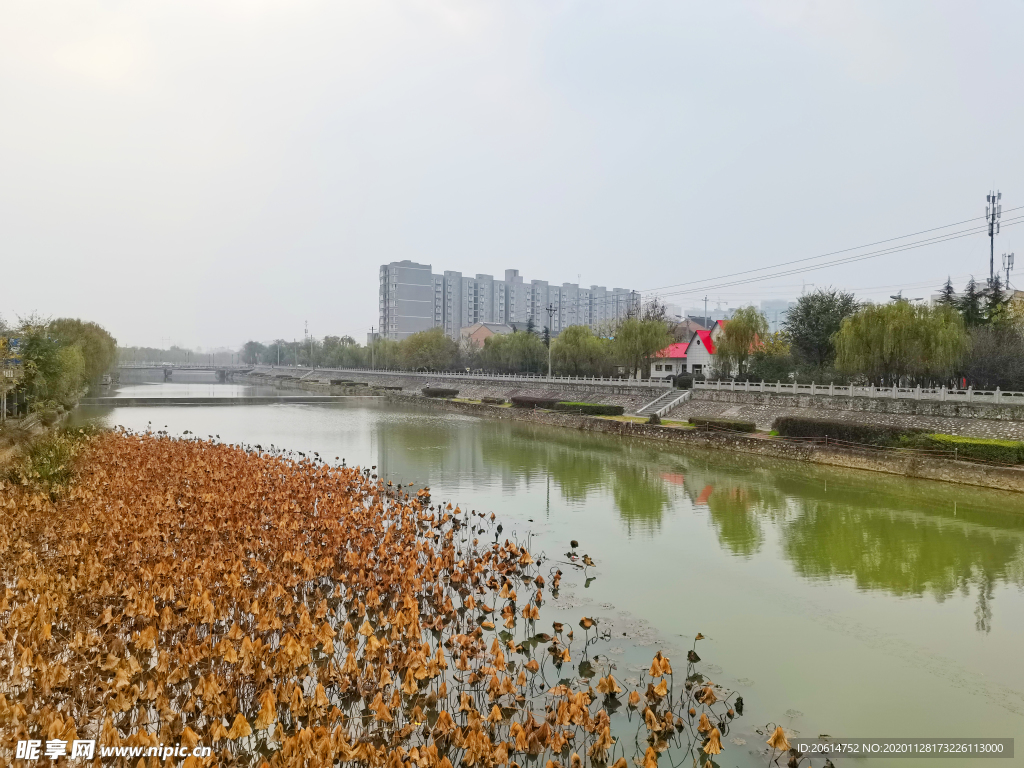 美丽的河道风景