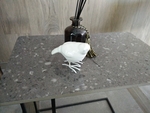 鸟