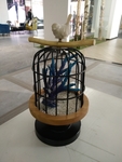 鸟笼