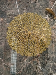 洗手间