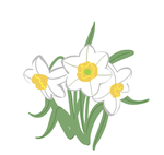 手绘兰花