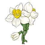 手绘水仙花