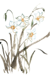 水墨画水仙花