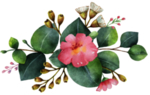 手绘果实花与叶