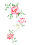 手绘花