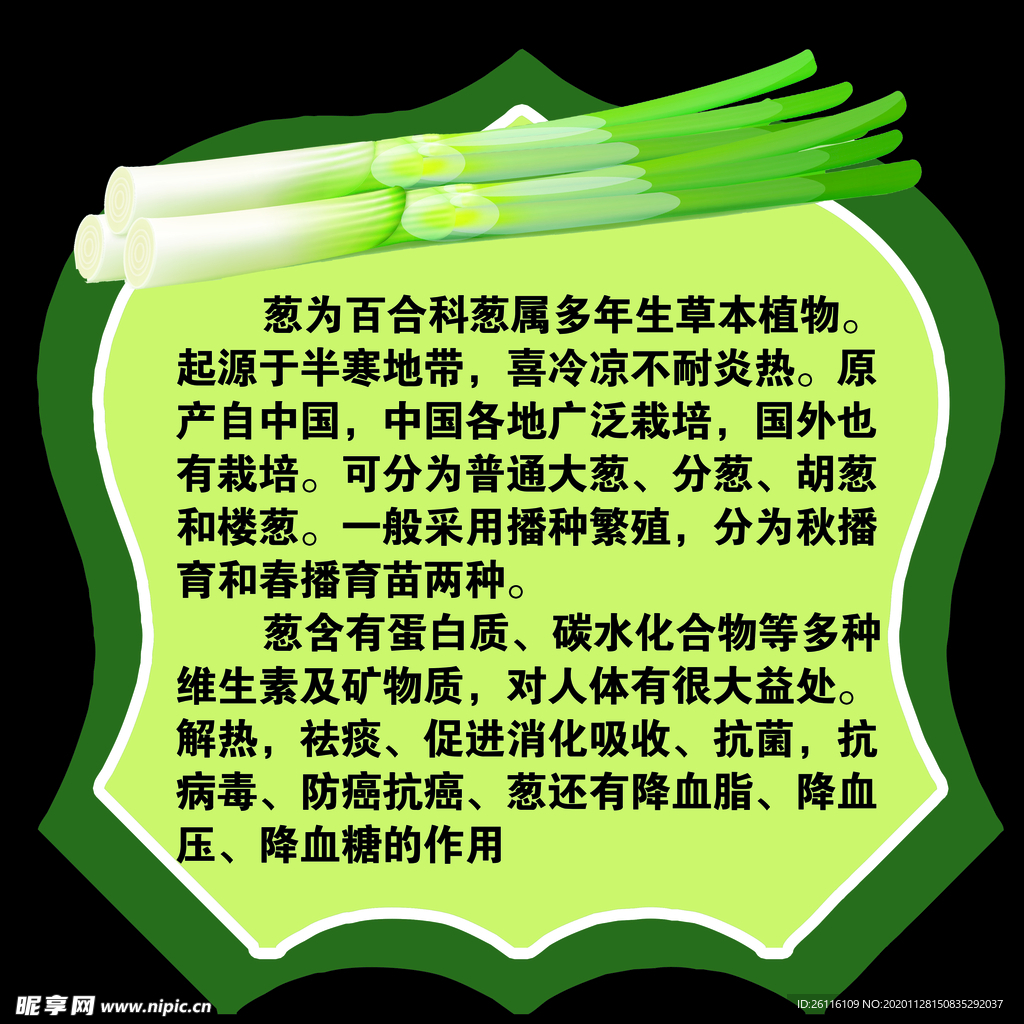 雕刻 果蔬  UV  简介