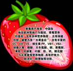 雕刻 果蔬  UV  简介