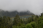 青山绿水