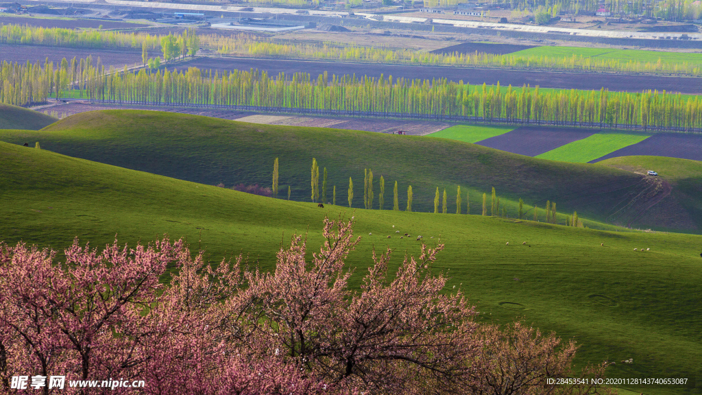 风景