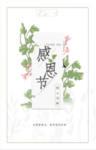 感恩节