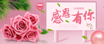 感恩节