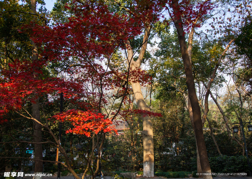 灵隐寺