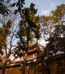 灵隐寺